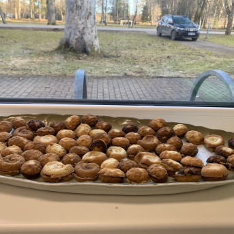 Pavasaris - 