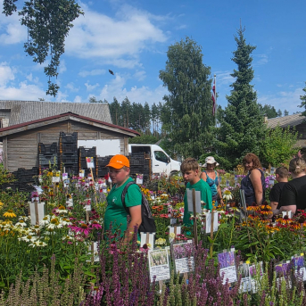 Sīpolu seminārs Rēdniekos - 