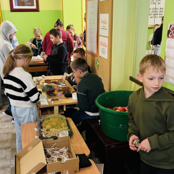 Miķeļdienas tirdziņš Sējas pamatskolā - 