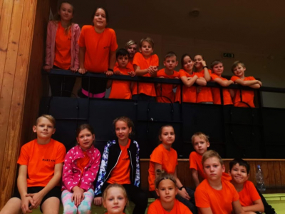 Pierīgas novadu sporta spēles 