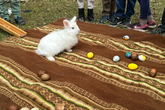 Lieldienas Sējas skolā